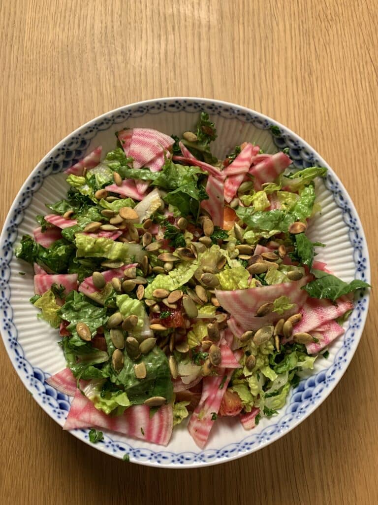 Måltidsinspiration 26 Bolsjeroedbede salat