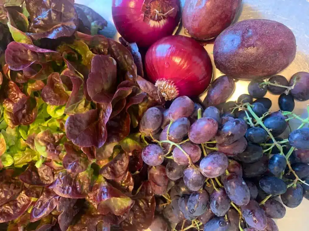 Ernæringsterapeut - En videnskabelig tilgang til din krop og dine symptomer