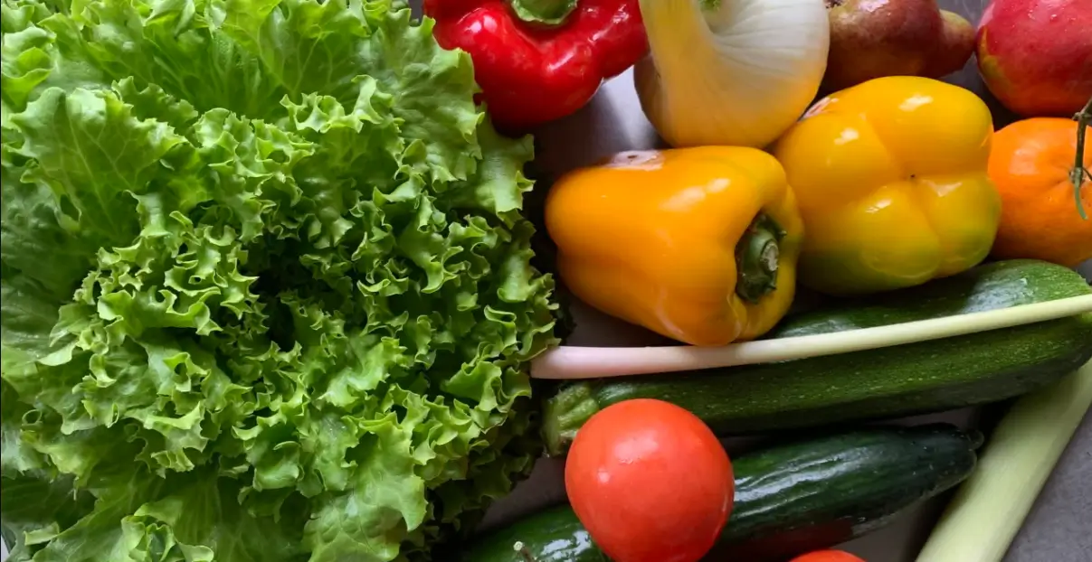 Søger du en kostvejleder – eller en mere helhedsorienteret tilgang? 1 kostvejleder